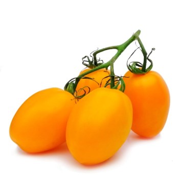 pomidor-slivka-zhovtiy-na-giltsi